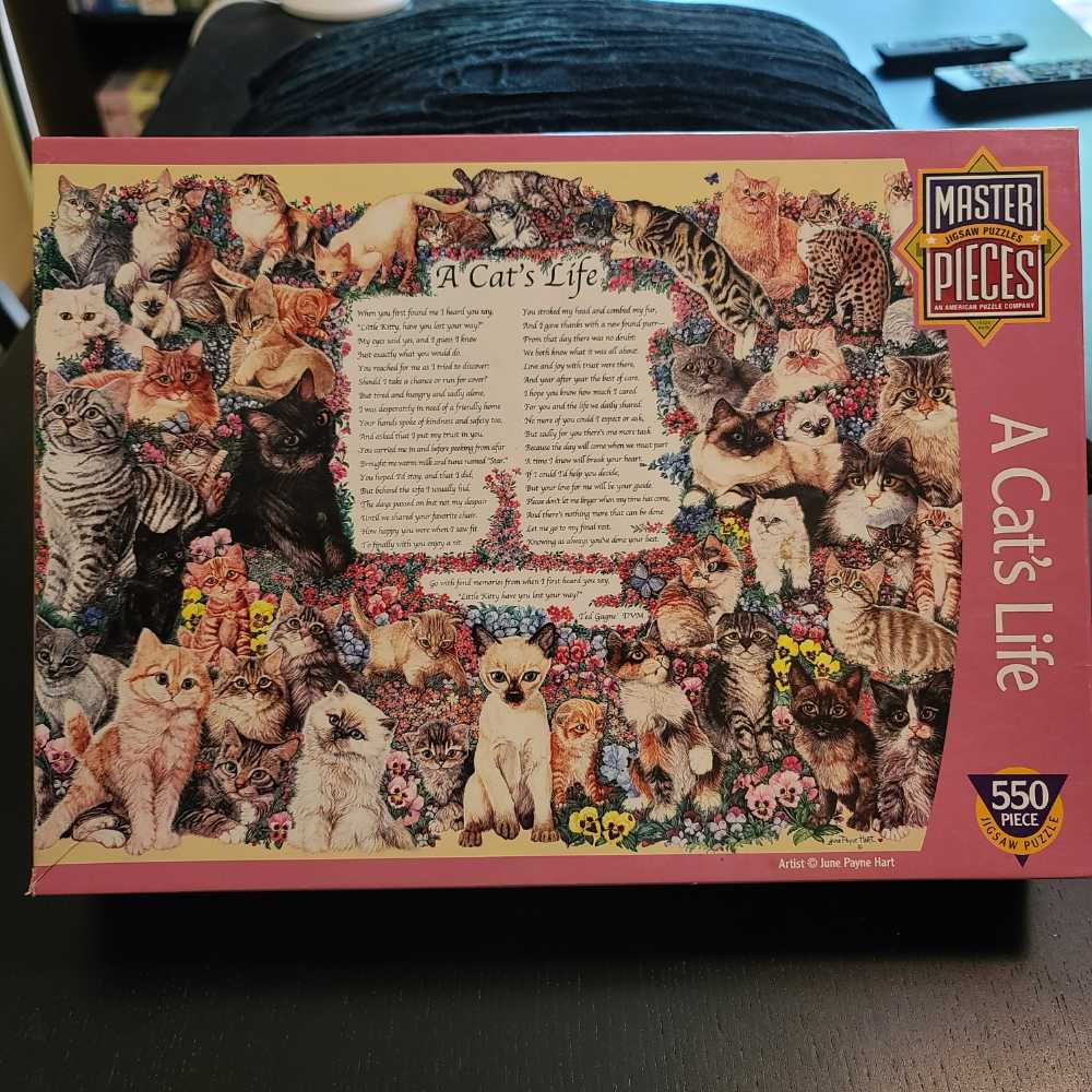 Christmas #15  - Santa’s Unexpected Delivery