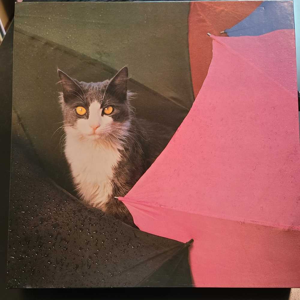 Puss ’N Chutes - Warren puzzle collectible - Main Image 1