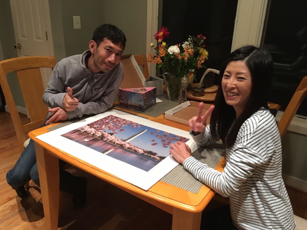 Cherry Blossoms Dbl - Pigment & Hue puzzle collectible [Barcode 653370011062] - Main Image 3