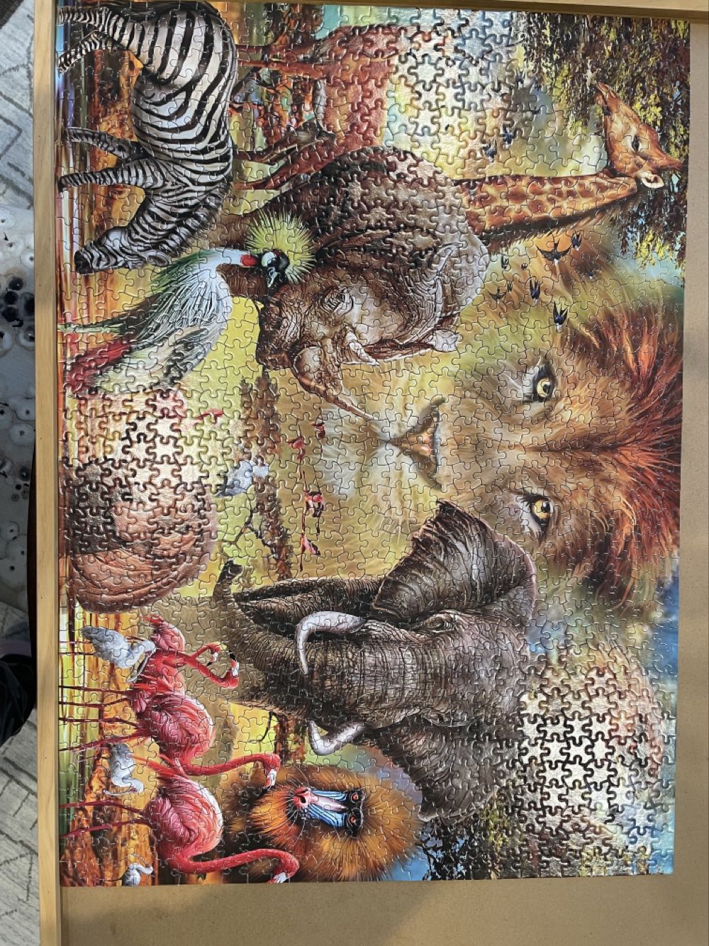 Animal Kingdom - Ceaco puzzle collectible [Barcode 021081310161] - Main Image 2