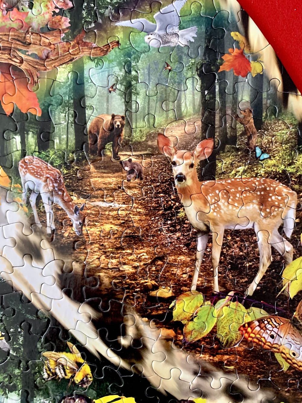 Forest Messenger 650 Pc Special Shaped Jigsaw Puzzle By Sunsout Inc - SunsOut puzzle collectible [Barcode 796780950788] - Main Image 2