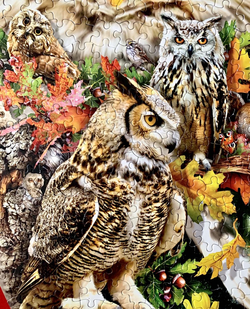 Forest Messenger 650 Pc Special Shaped Jigsaw Puzzle By Sunsout Inc - SunsOut puzzle collectible [Barcode 796780950788] - Main Image 3