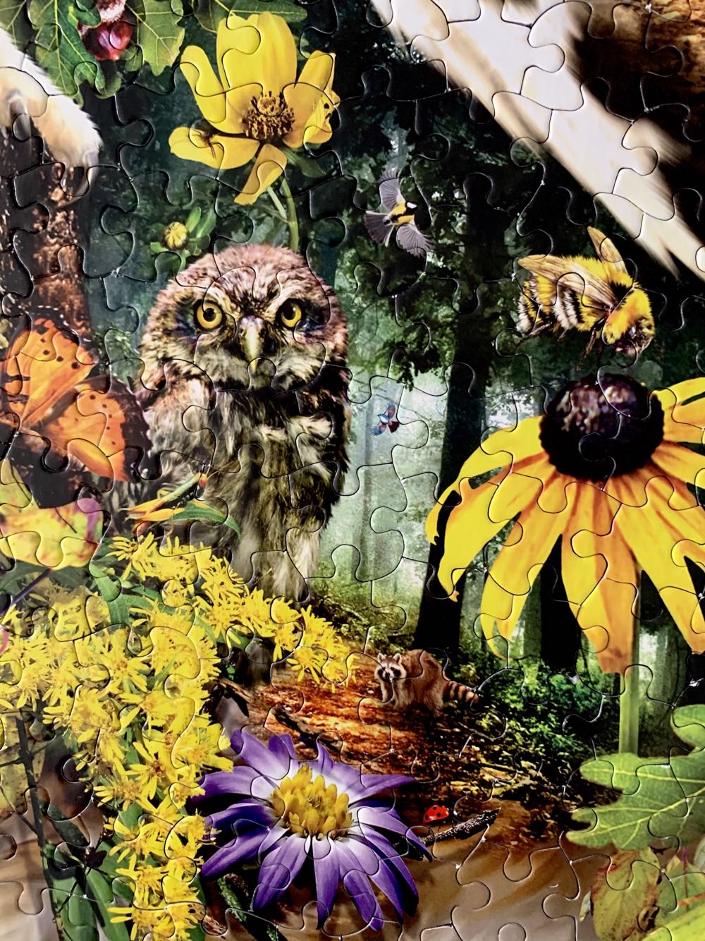 Forest Messenger 650 Pc Special Shaped Jigsaw Puzzle By Sunsout Inc - SunsOut puzzle collectible [Barcode 796780950788] - Main Image 4