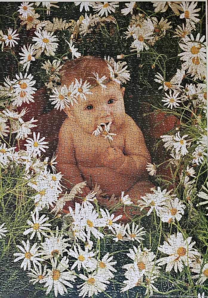 Daisies Baby - TCG Toys puzzle collectible [Barcode 686141101808] - Main Image 2