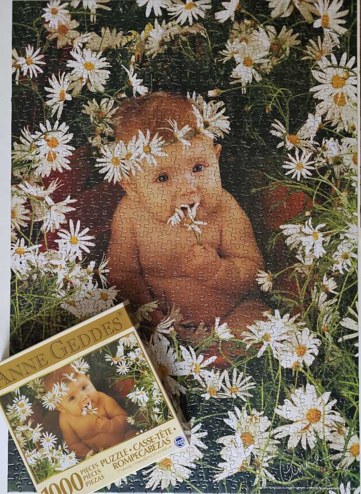 Daisies Baby - TCG Toys puzzle collectible [Barcode 686141101808] - Main Image 3