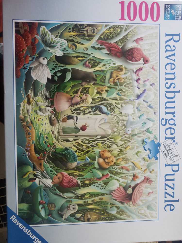 Racing To The Finish