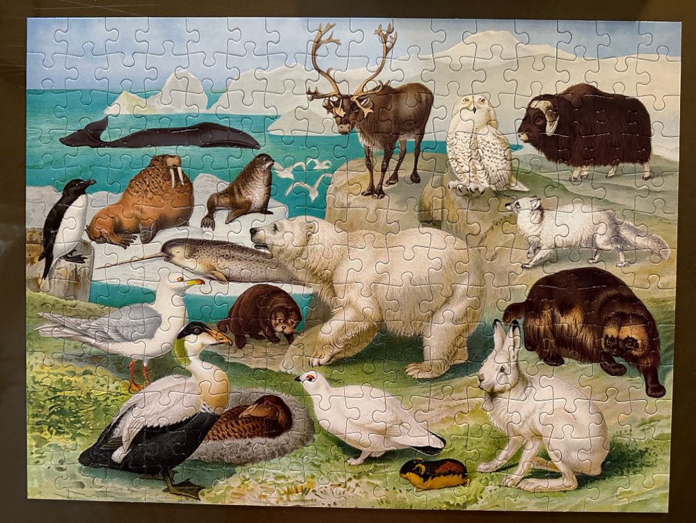 Arctic Wildlife By Eeboo 208 Piece - Eeboo puzzle collectible [Barcode 689196504655] - Main Image 2