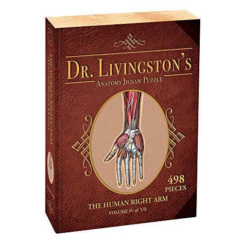 Brightly Colored Tropical Fish