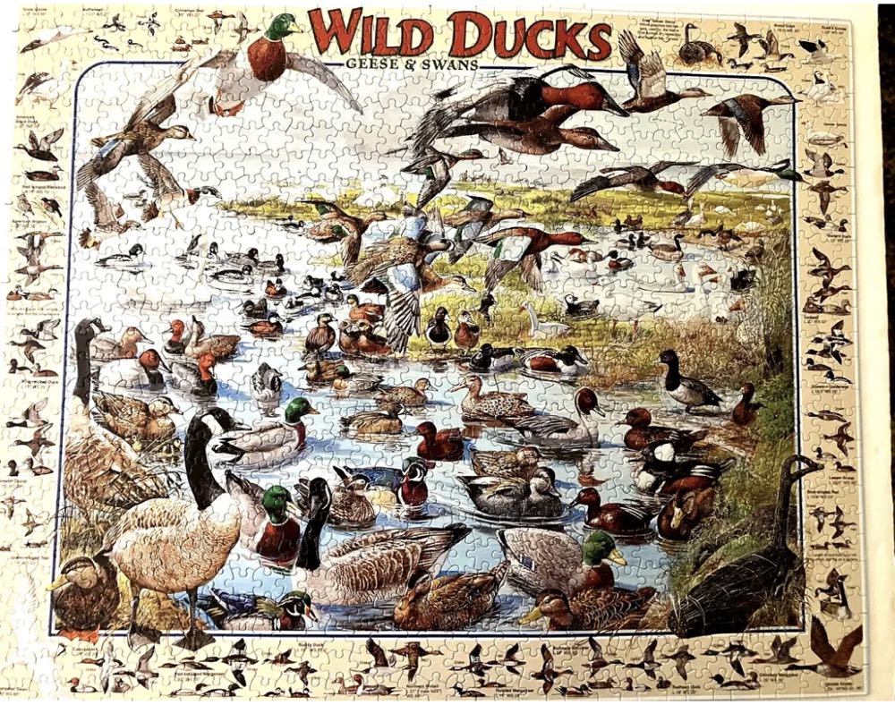 Wild Ducks Geese & Swans - White Mountain 🇺🇸 puzzle collectible [Barcode 724819248995] - Main Image 3