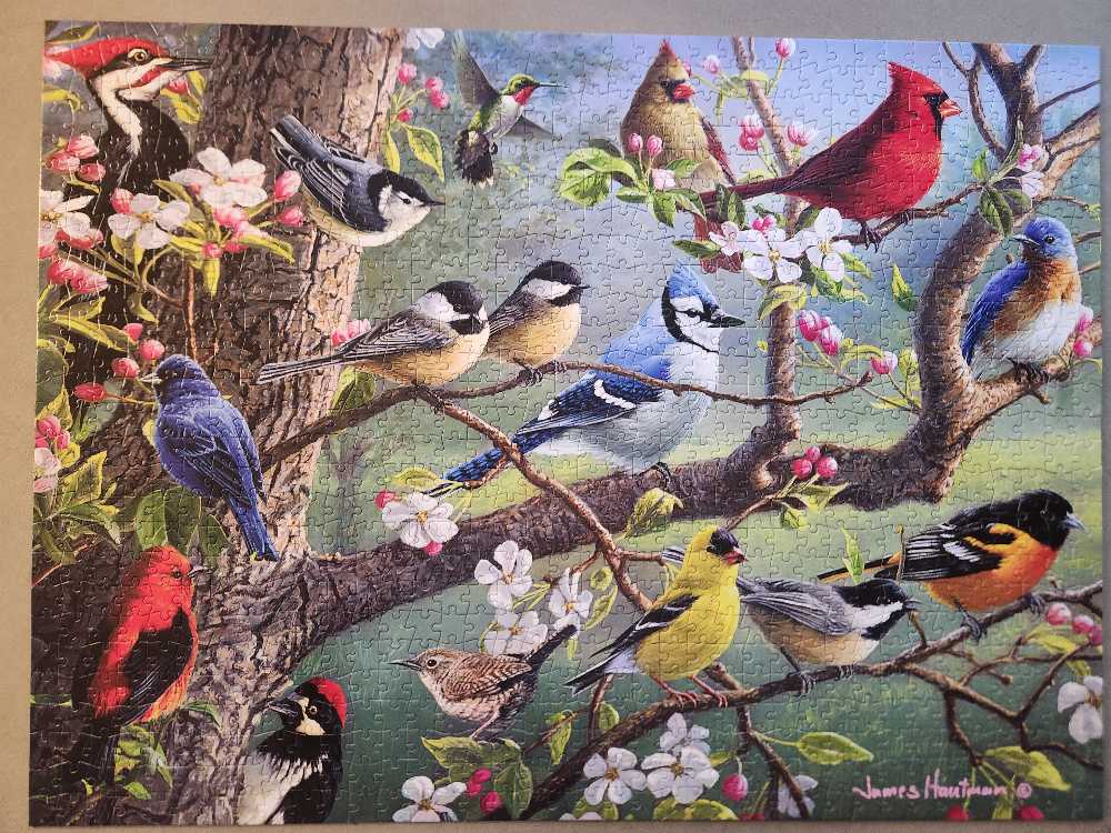 Birds In An Orchard - Buffalo puzzle collectible [Barcode 079346112012] - Main Image 3