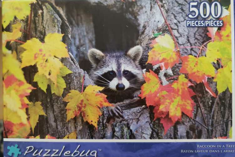 SOLD Puzzler’s Retreat