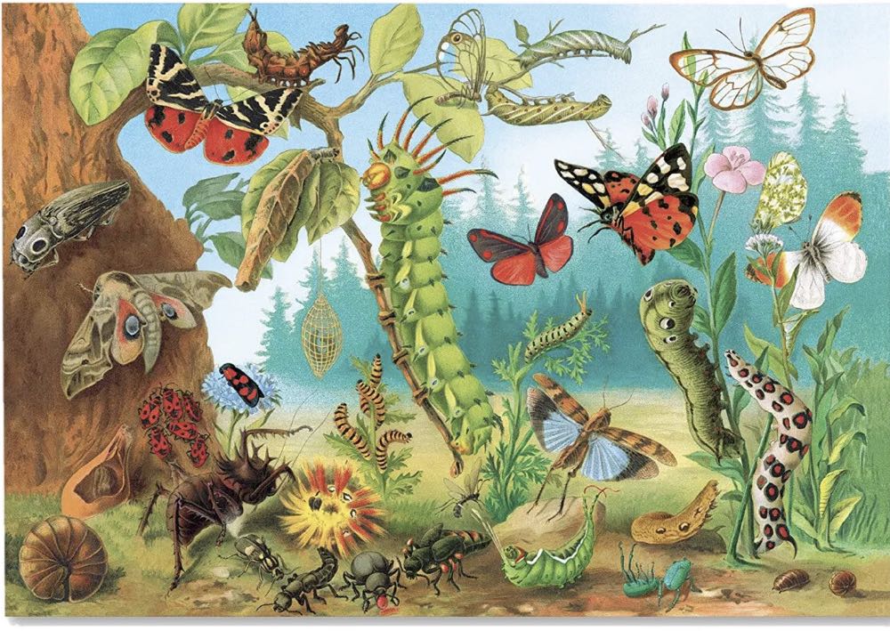 Garden Creatures - Eeboo puzzle collectible [Barcode 689196507687] - Main Image 3