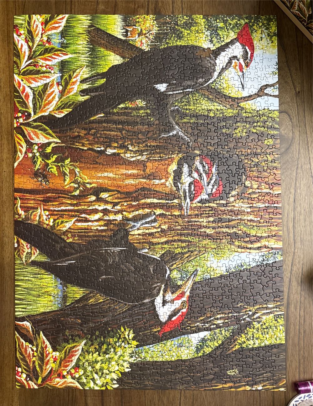 Pileated Woodpeckers-MISSING 2 - Cobble Hill puzzle collectible [Barcode 625012517195] - Main Image 2