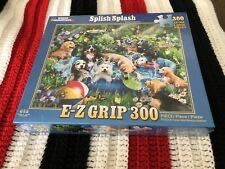 Fireworks Over Washington DC