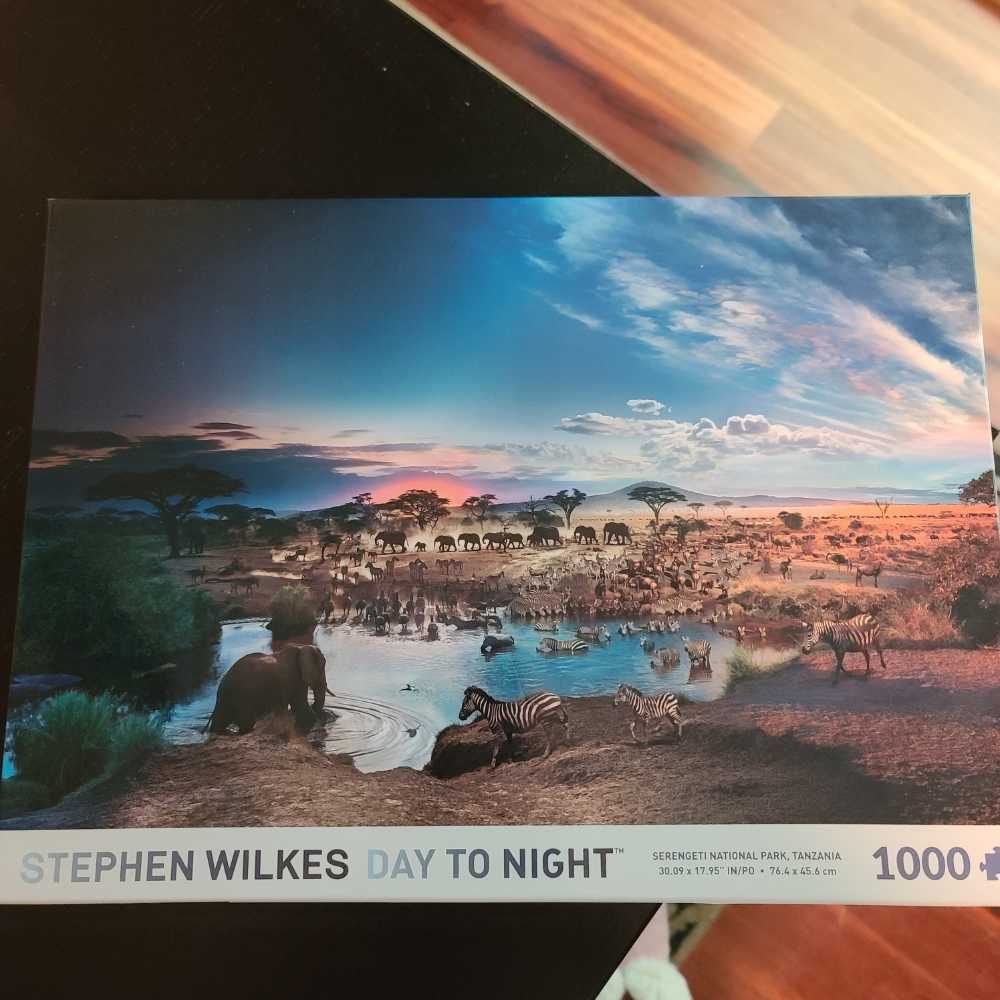 Flamingos At Sunrise