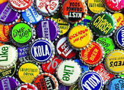 Beautiful Rainforest