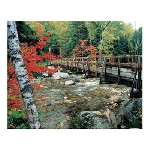 Hawaiian Food Truck Festival