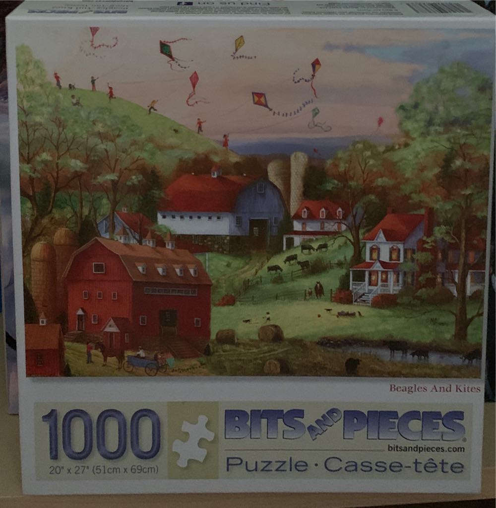 Beanie Boo Glitter Pack 