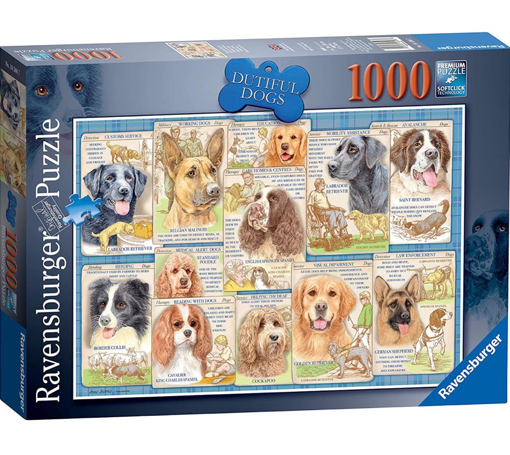 Wasgij Destiny 5. Tijdreizen.