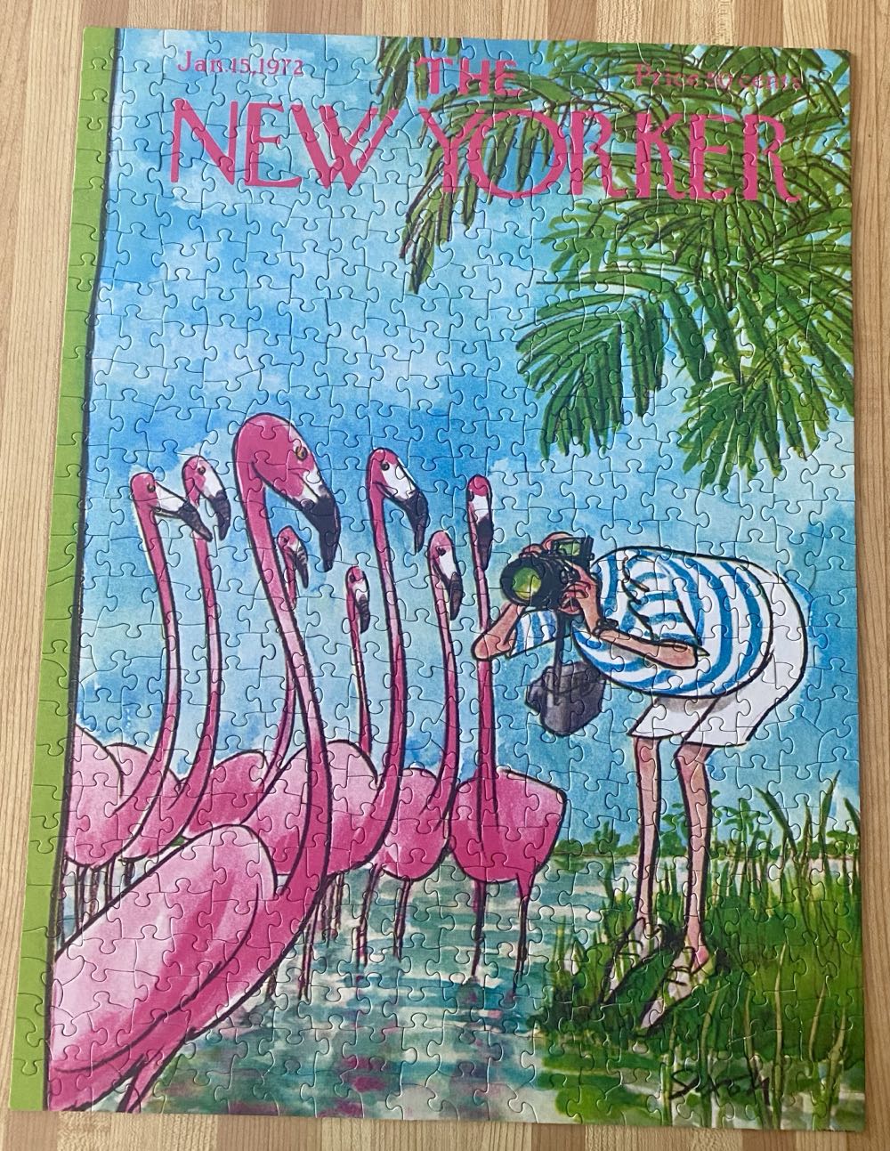 Flamingo Photographer - New York Puzzle Company puzzle collectible [Barcode 819844014155] - Main Image 2