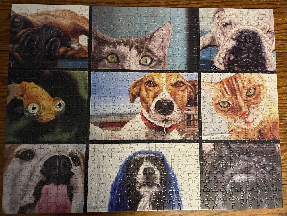 Pet’s Virtual Hangout - Buffalo puzzle collectible [Barcode 079346173464] - Main Image 2