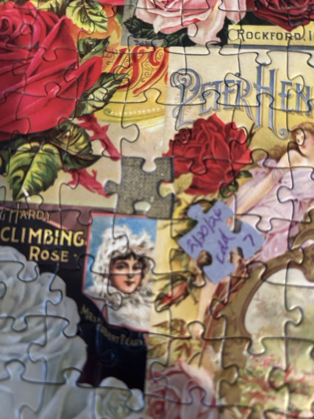 Roses Smithsonian Seed Catalogues - Eurographics Puzzle puzzle collectible [Barcode 628136608107] - Main Image 3