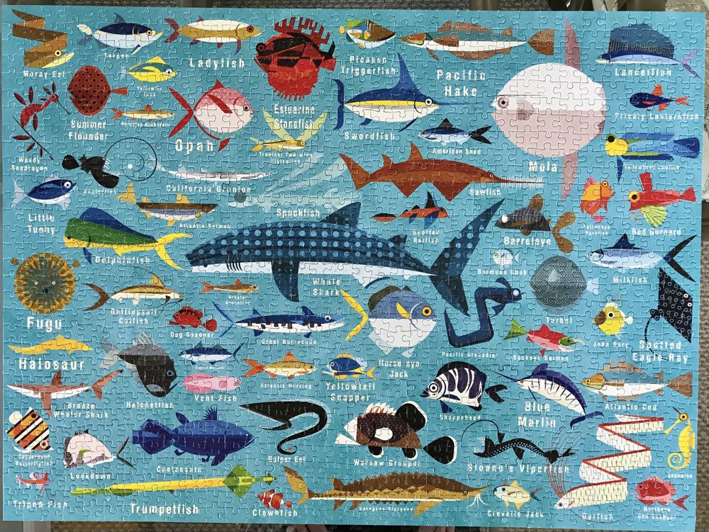 Ocean Life - Mudpuppy puzzle collectible - Main Image 1