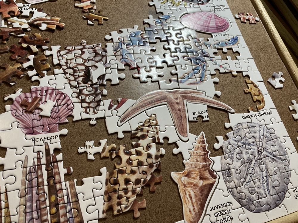 The Beachcomber’s Companion - Galison puzzle collectible [Barcode 9780735357051] - Main Image 4
