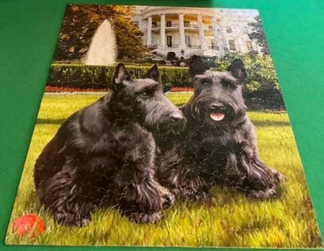Presidential Pets - 1022, 2/16/26 - White Mountain puzzle collectible [Barcode 724819250493] - Main Image 2