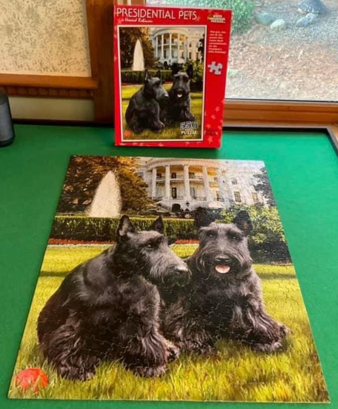 Presidential Pets - 1022, 2/16/26 - White Mountain puzzle collectible [Barcode 724819250493] - Main Image 3