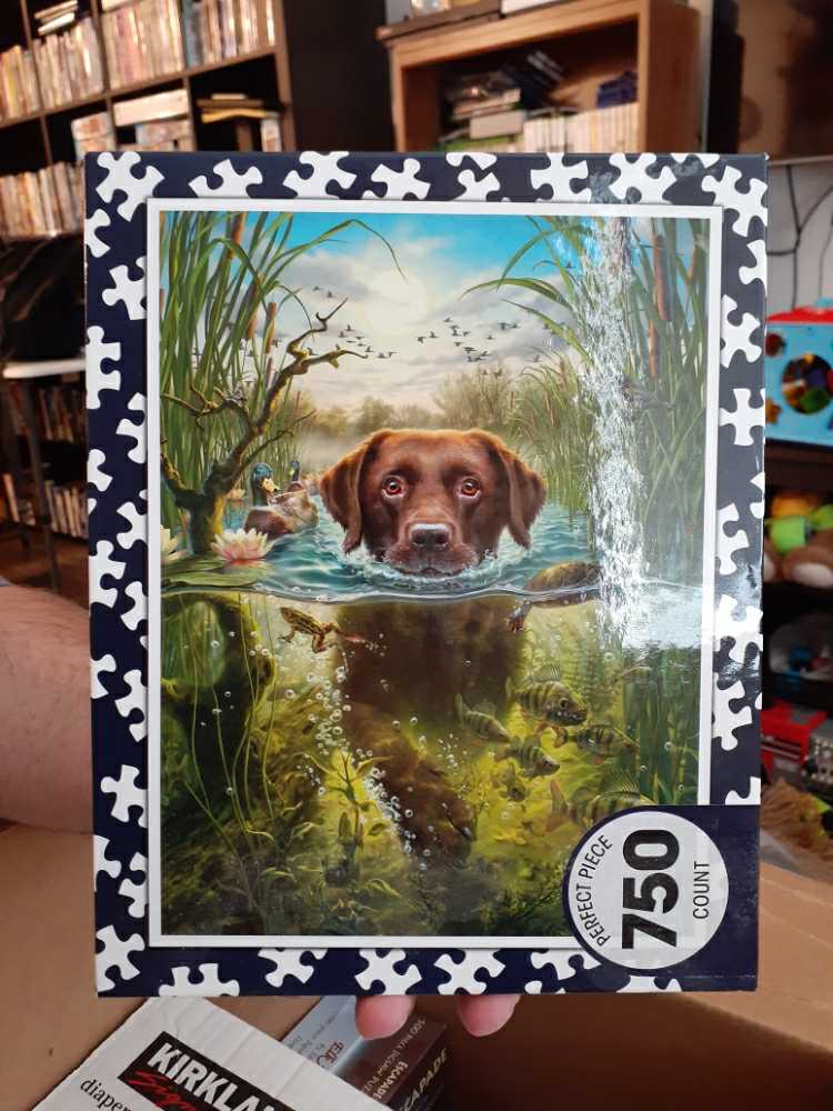 Mickey At The Arcade