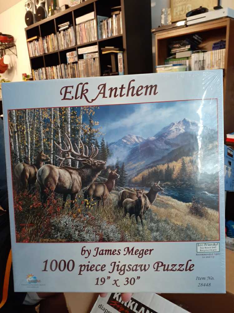 Buffalo: Neuschwanstein Castle