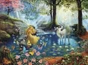 Summer Adirondack Birds