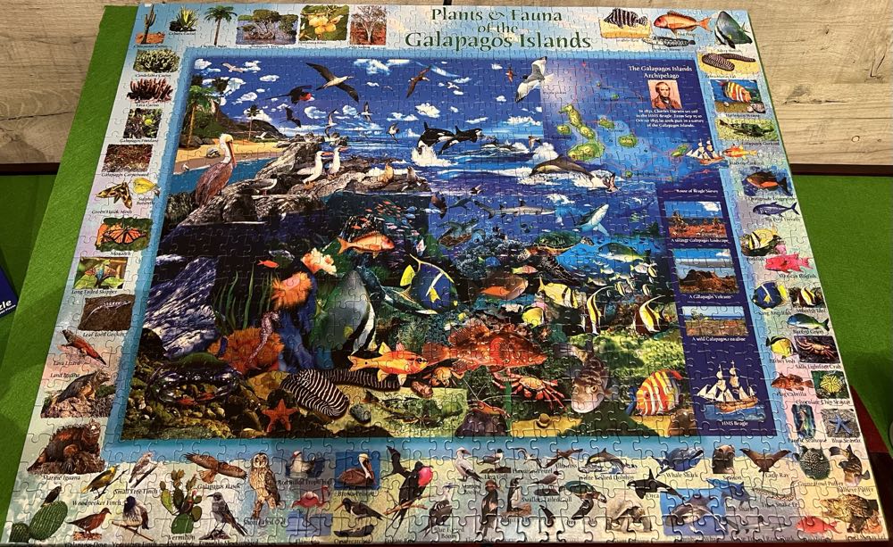 Galapagos Jigsaw Puzzle Piece - Vermont Christmas Company puzzle collectible [Barcode 819273021786] - Main Image 2