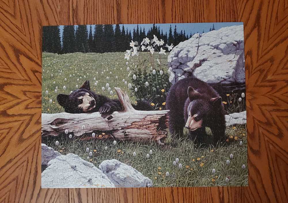 ZZ - Playtime Bears (SOLD) - White Mountain puzzle collectible [Barcode 724819249619] - Main Image 2