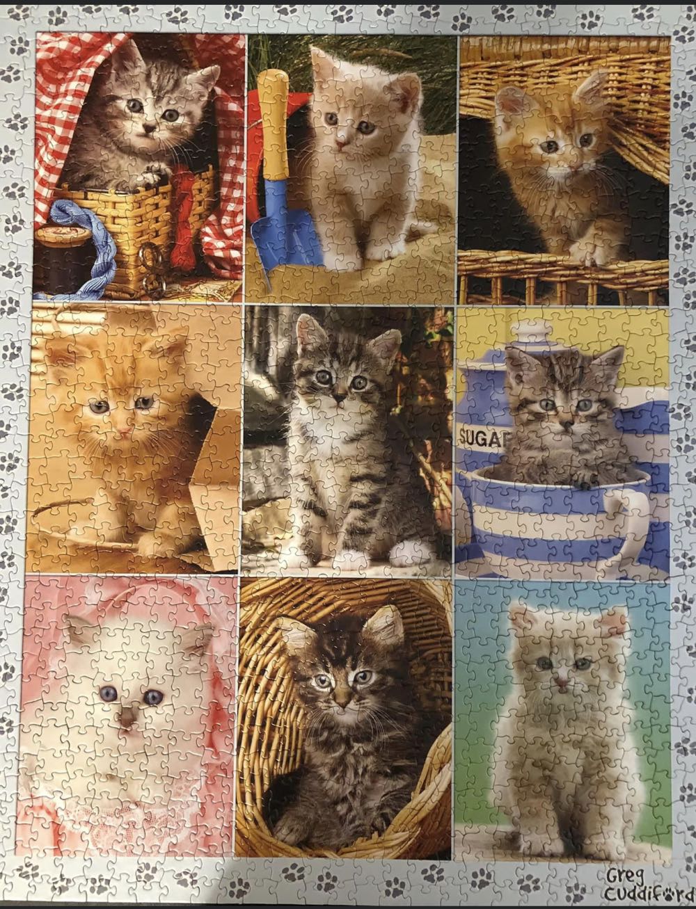 Peek-A-Boo Kittens - White Mountain Puzzles puzzle collectible [Barcode 724819251278] - Main Image 3
