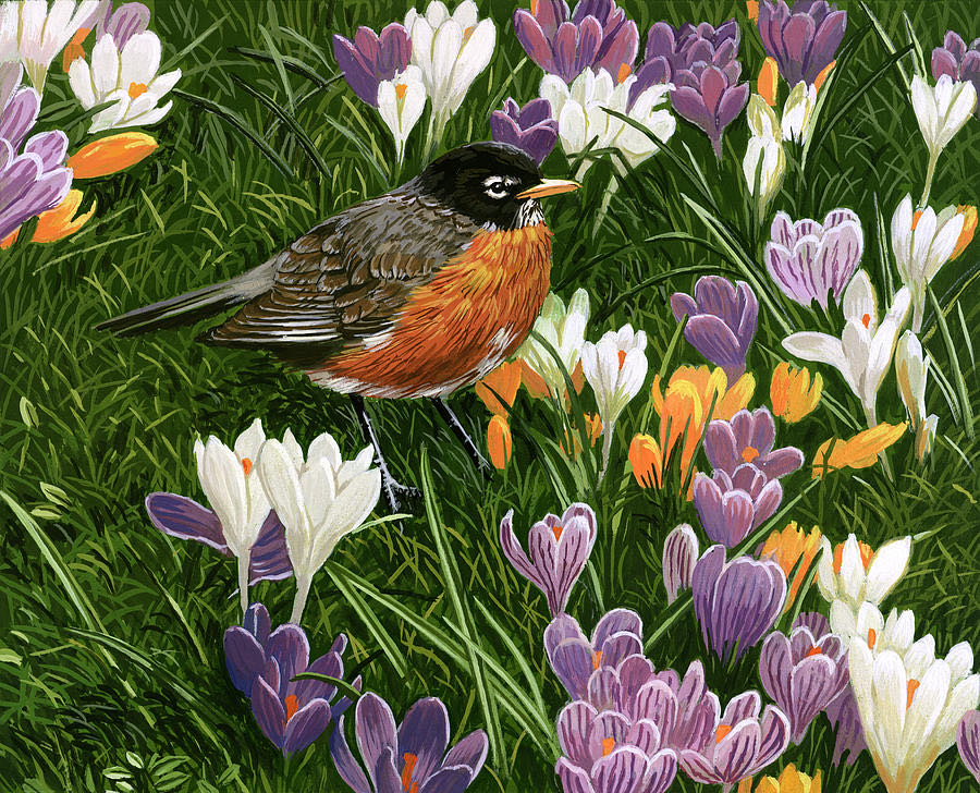 Wise Owls Piece Puzzle: Miscellaneous: 9781648330681 ...