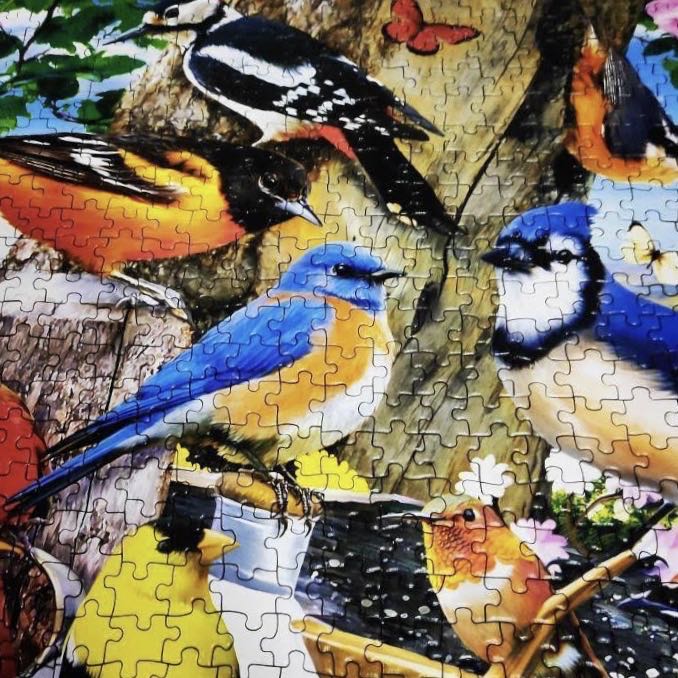 Spring Gathering Audubon  - Master Pieces 🇺🇸 puzzle collectible [Barcode 705988720611] - Main Image 4