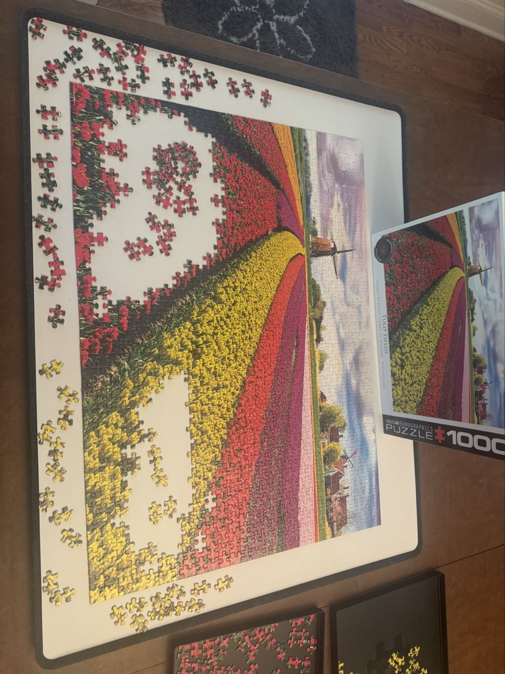 Tulip Fields - Eurographics puzzle collectible [Barcode 628136653268] - Main Image 2