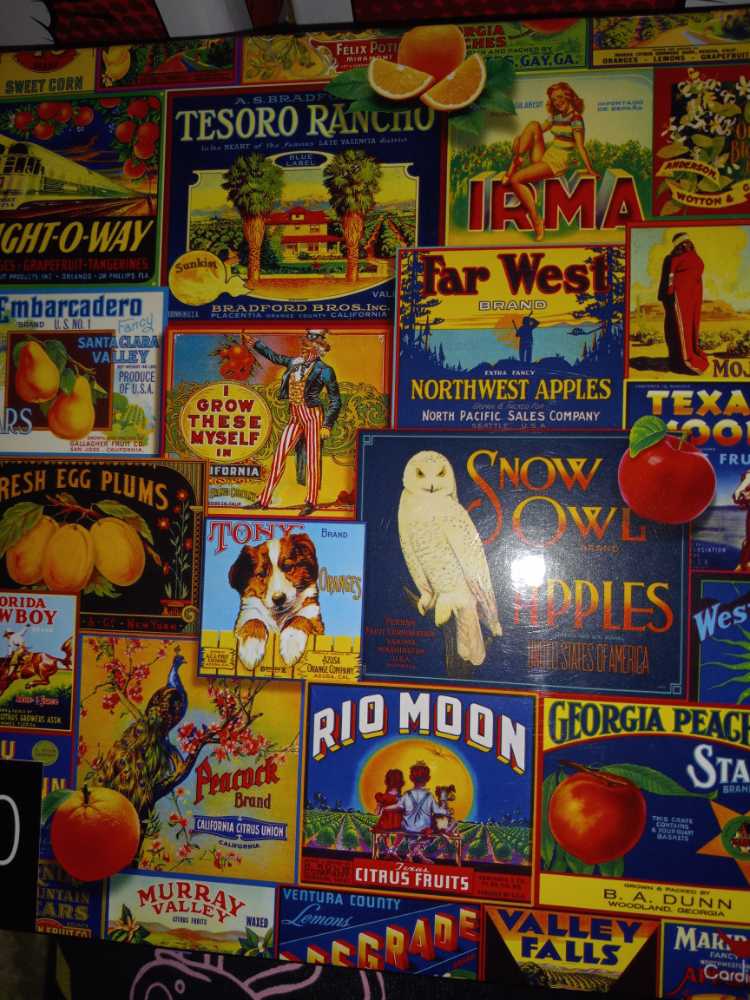 Path Of The Dream Catcher