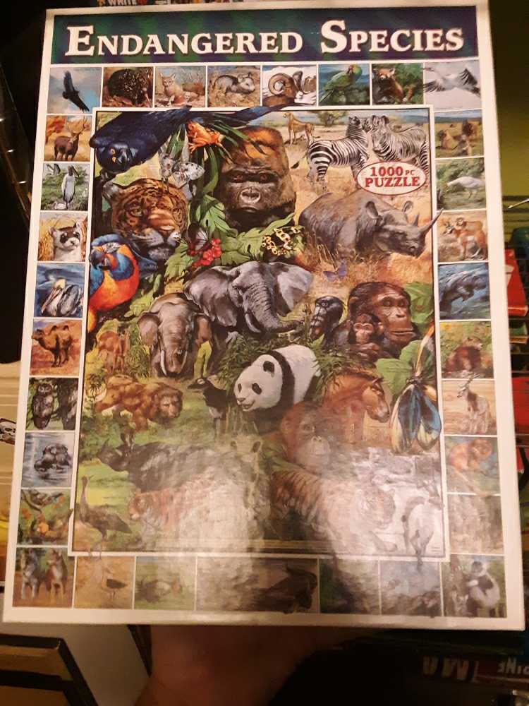 Hot Air Balloon Sunset