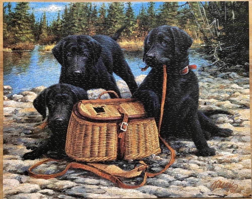 Gone Fishin’ - White Mountain puzzle collectible [Barcode 724819248407] - Main Image 3