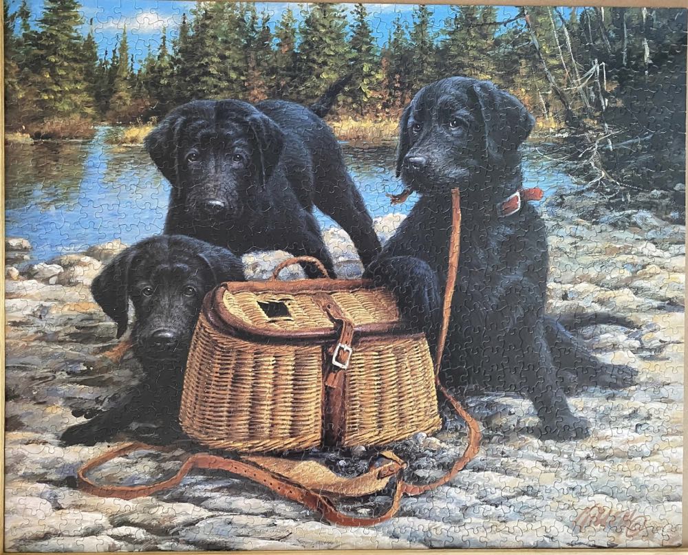 Gone Fishin’ - White Mountain puzzle collectible [Barcode 724819248407] - Main Image 4