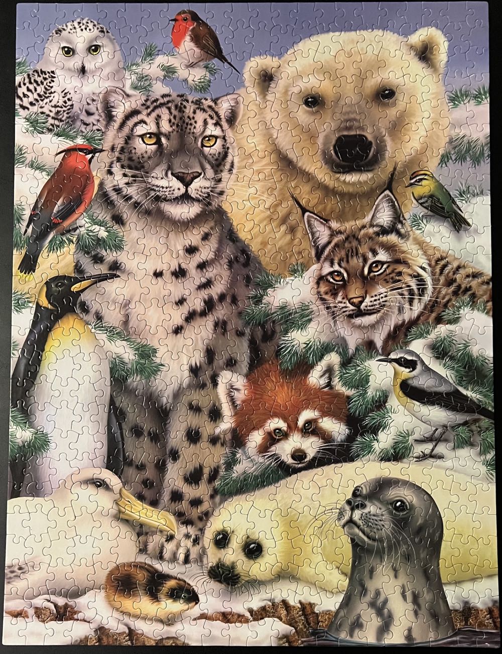 Arctic Friends(2) - White Mountain Puzzles puzzle collectible [Barcode 724819248810] - Main Image 2