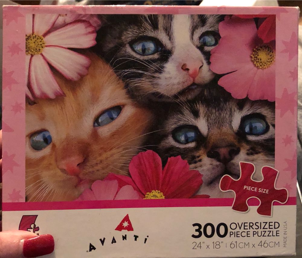 Edward Gorey Edward Gorey: 1000 Piece Puzzle Pomegranate Artpiece Puzzle