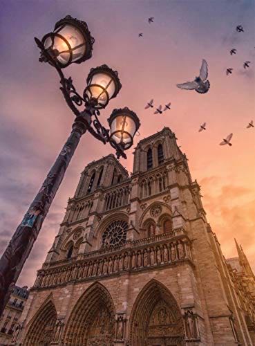 Roses Smithsonian Seed Catalogues