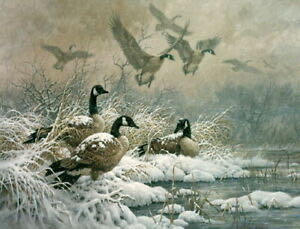 Dahlia Dinalhaven Makes A Dory Deal