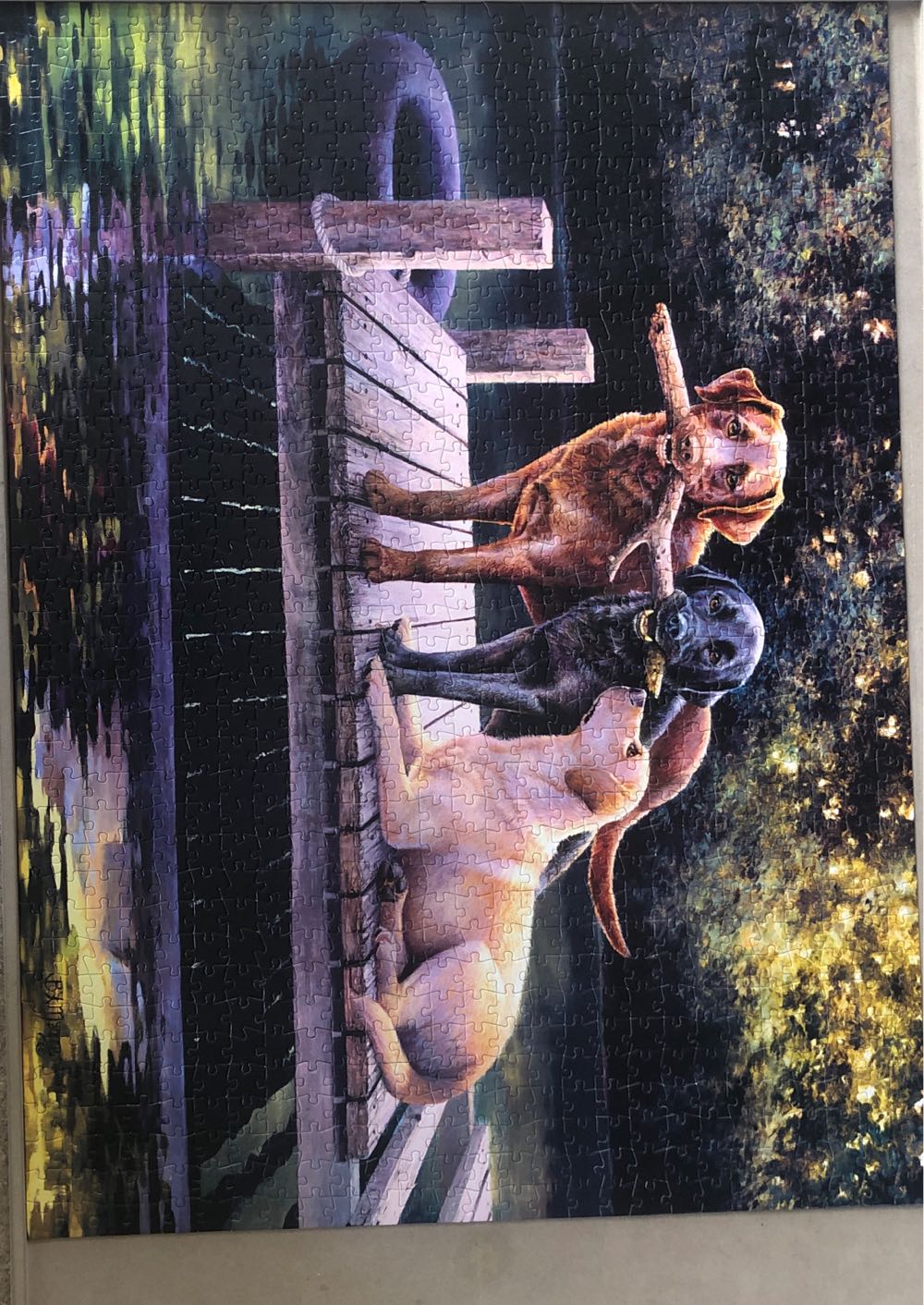 Dog Days *T/S - Buffalo Games puzzle collectible - Main Image 2