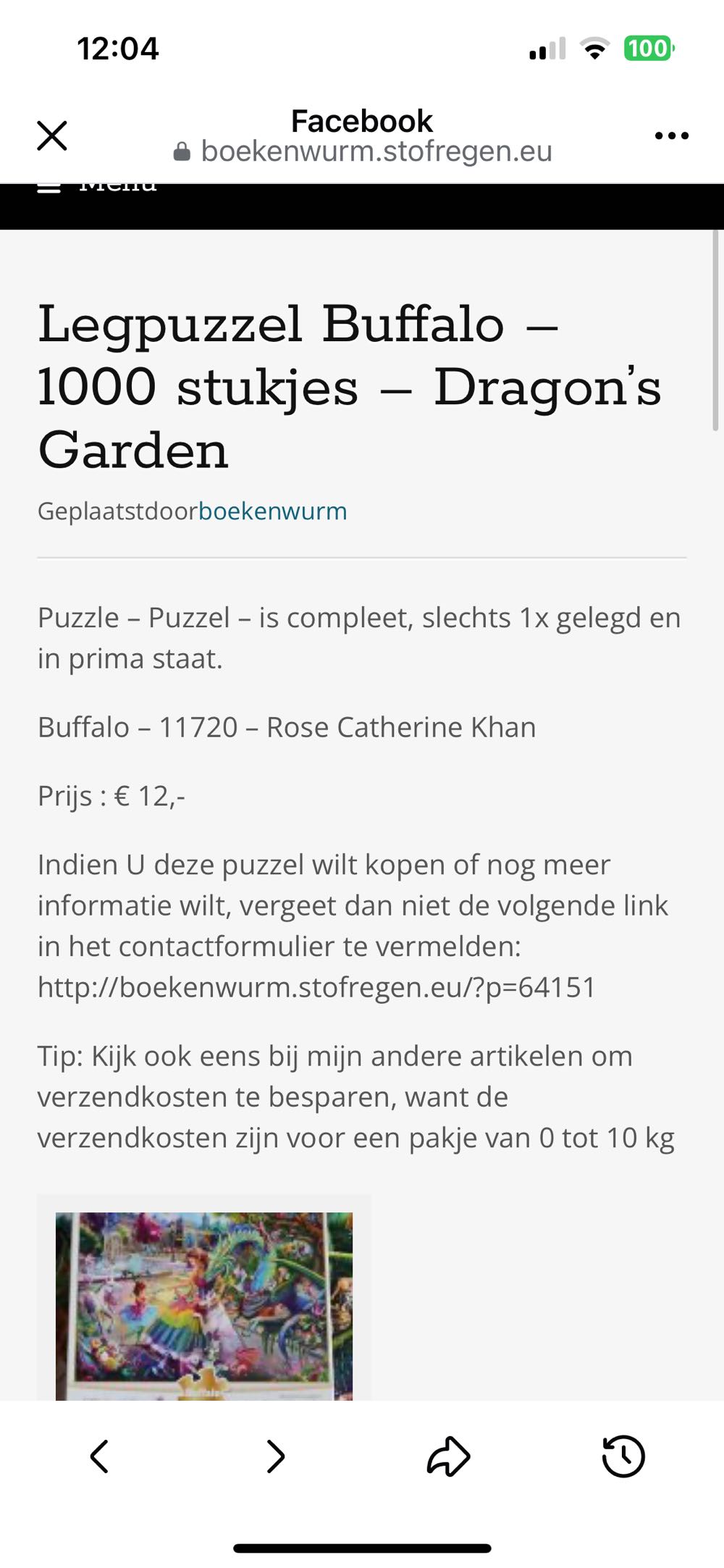 Dragon’s Garden -  Buffalo puzzle collectible [Barcode 079346121069] - Main Image 4