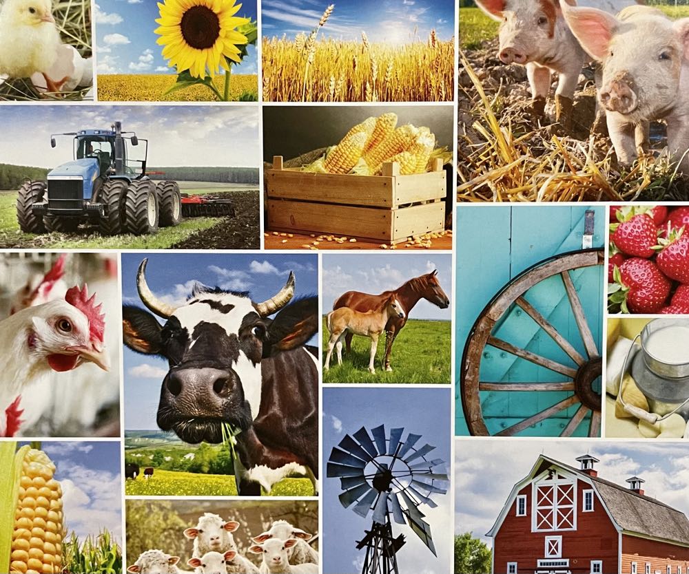 Family Farm - Re-marks puzzle collectible [Barcode 681410030001] - Main Image 2